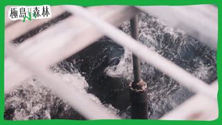 跟著「海線水水」千千來趟新北小旅行