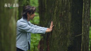 第9集 與森林共處：尋找陽光與深層自我