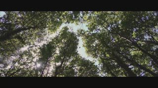 第1集