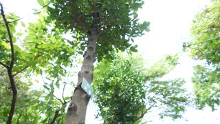 第35集