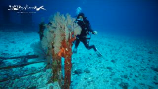 第2集 綠島 綏陽艦
