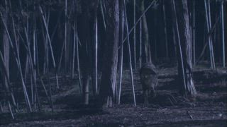 第37集