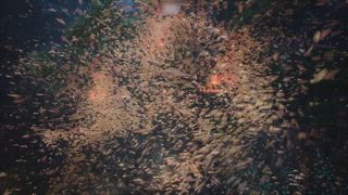 第88集 星海飛馳12