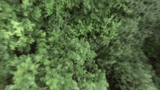 第1集