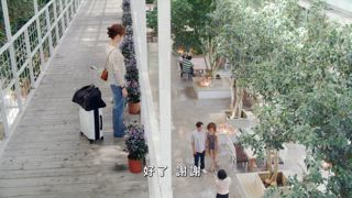 第19集 鳩佔雀巢