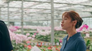 第21集 兄弟難得一條心