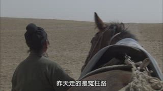 第29集