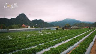 第8集 九降風吹