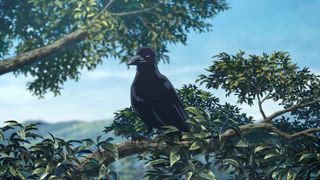第8集 柱・集合