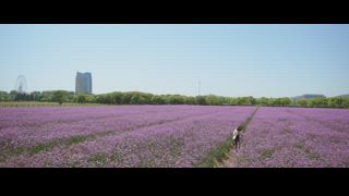 第19集 打破僵局