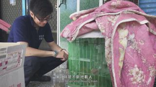 第1集