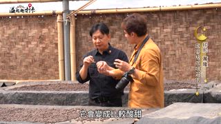 第9集