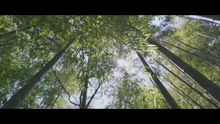 第24集 我們都不會死♡