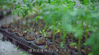 第2集