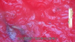 第25集