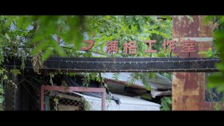 第28集 用青花瓷盞裝的茶