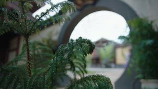 第7集 鐵石心腸