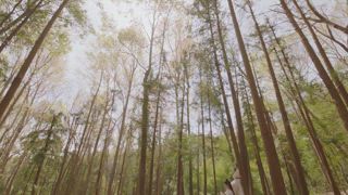 第2集 男女授受不親