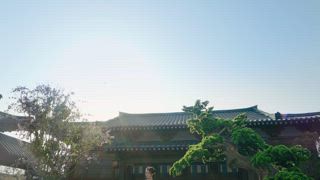 第6集 殺人利器