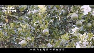 第9集 信仰Ｘ生態Ｘ四季果鄉：東勢與大茅埔