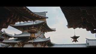 第19集 細雨閣神醫