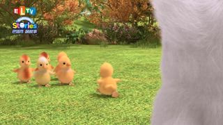 第24集 Farm Fair Fun
