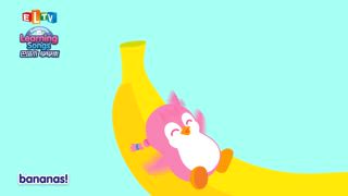 第74集