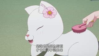 第10集 愛心愛心／Lovely PiPi／工作
