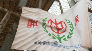 第108集 野球牛肉麵