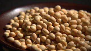 第120集 豆腐日記