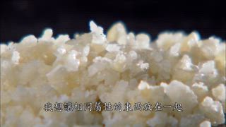 第124集 甜點季節