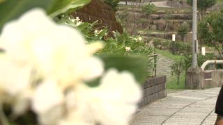 第127集 兄弟
