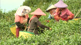 第150集 阿良便當