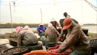 第153集 海口人料理