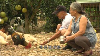 第17集 劉老伯的農夫料理