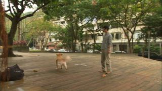 第20集 葉氏黔菜