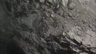 第22集 熊家豬腳