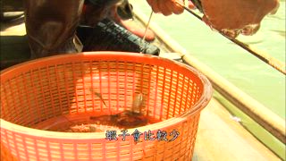 第24集 頑味食堂