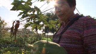 第33集 阿榮農園