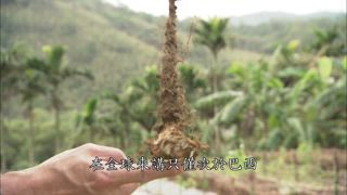 第35集 懷中之石：阿昌師