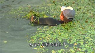 第41集 家鄉味粄條