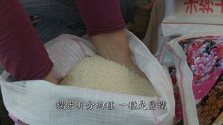 第45集 外婆橋