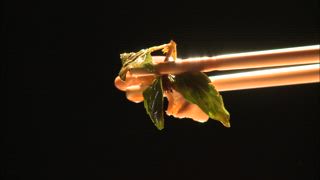 第64集 蔗田的野味
