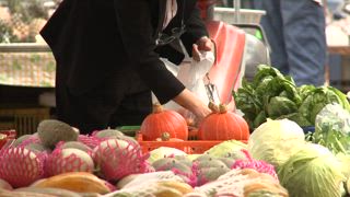 第79集 伊萬里