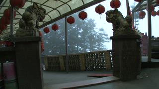 第9集 仙山仙草