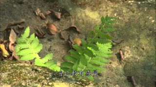 第93集 璞真山居