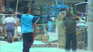 第109集 大「金鼎」的百變料理