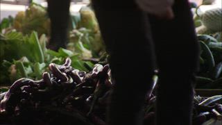 第134集 立志要趁早