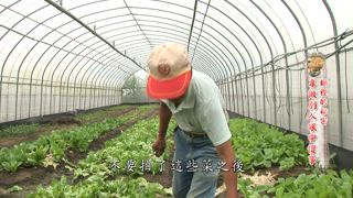 第14集 鍋裡的秘密