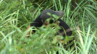 第163集 台北野味新樂園